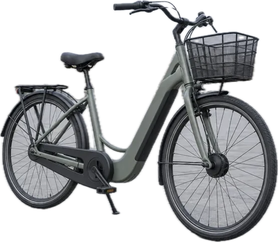 Demo E-bike 21