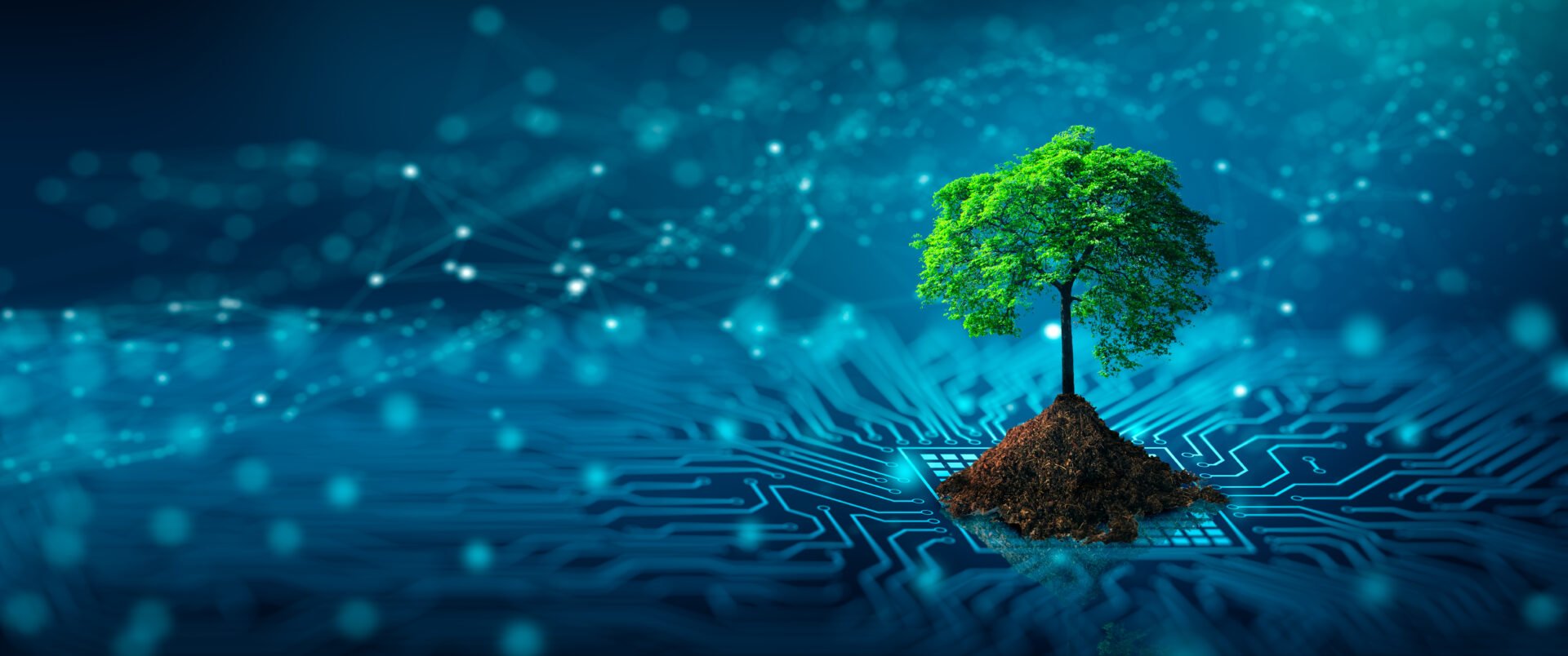 AI Algorithm to Measure CO2 Emissions: A Key to Success